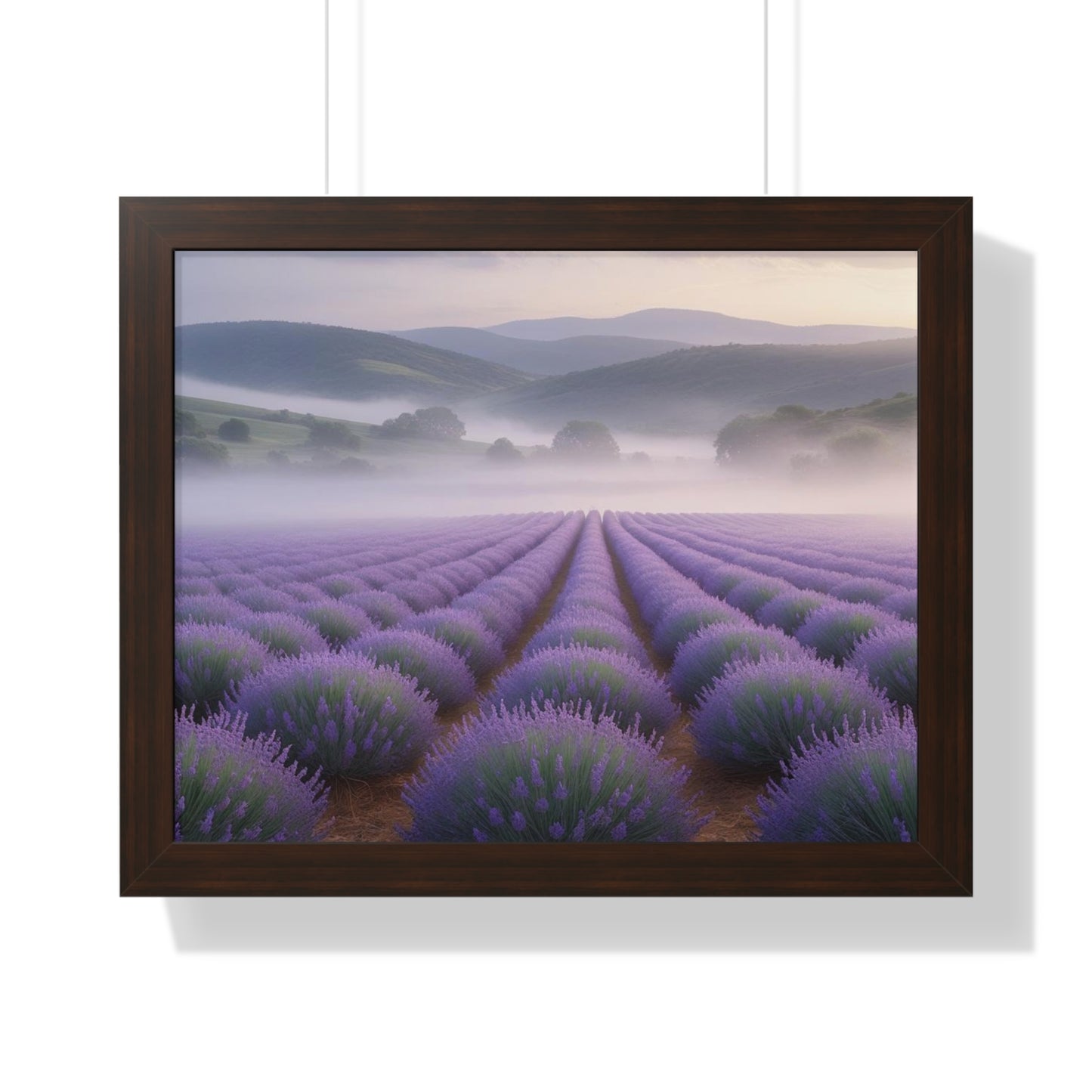 Lavender Fields Framed Poster