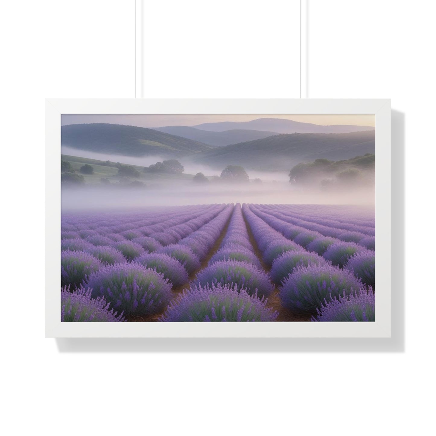 Lavender Fields Framed Poster