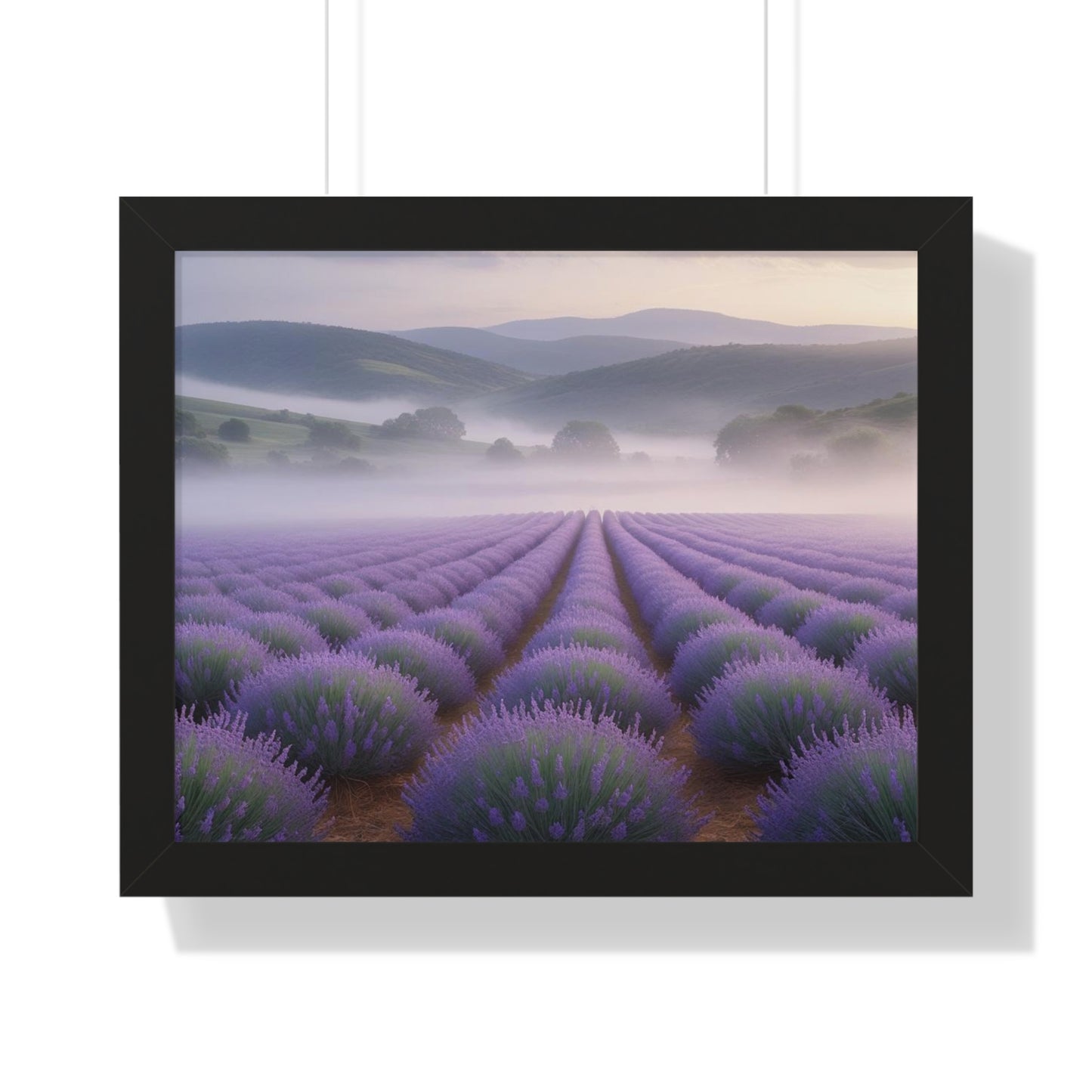Lavender Fields Framed Poster