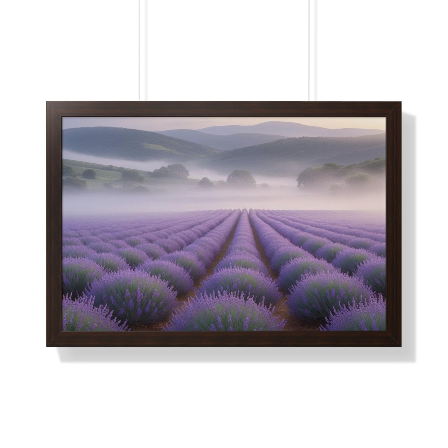 Lavender Fields Framed Poster