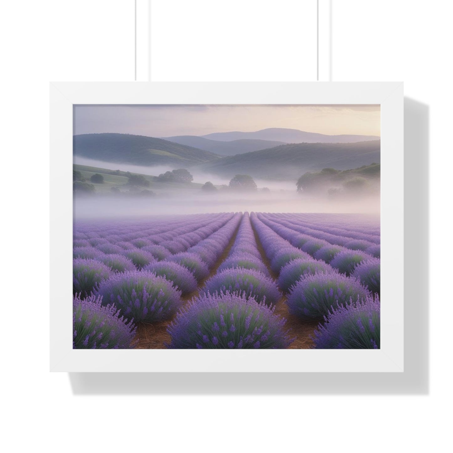 Lavender Fields Framed Poster
