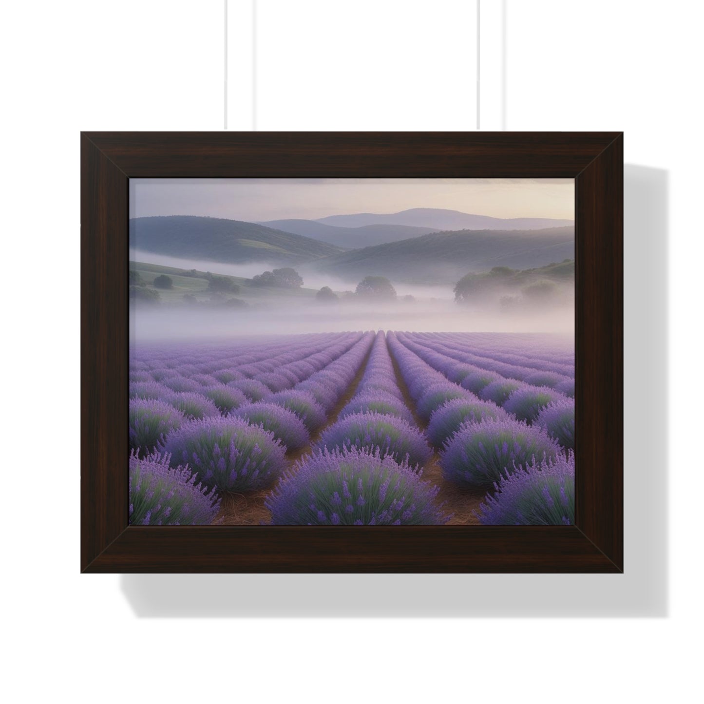 Lavender Fields Framed Poster
