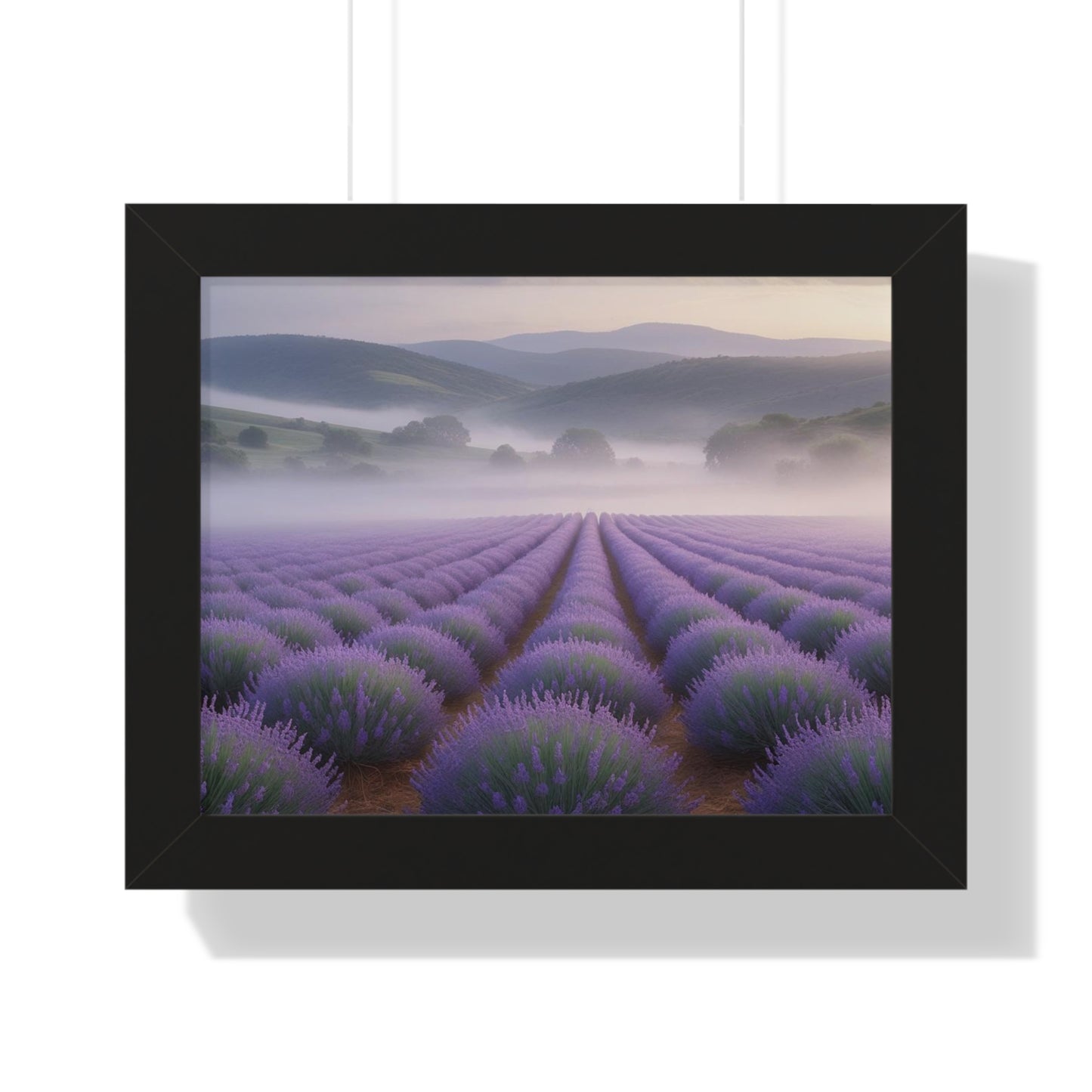 Lavender Fields Framed Poster
