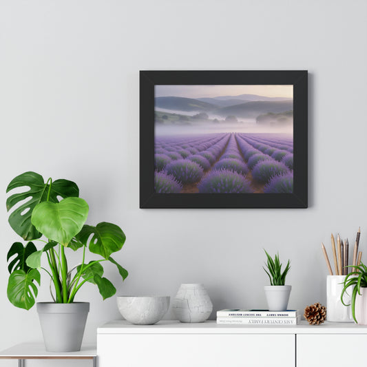 Lavender Fields Framed Poster