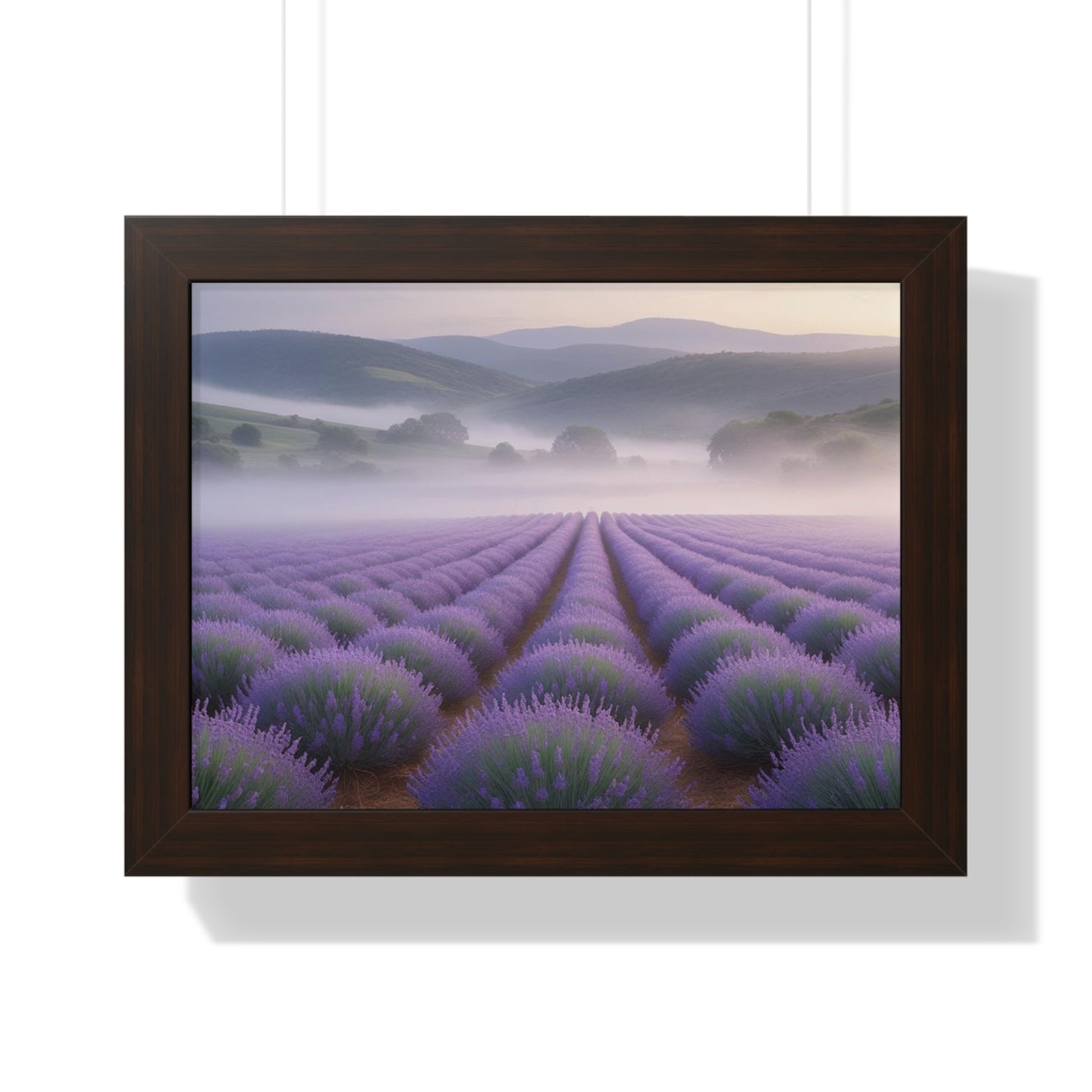 Lavender Fields Framed Poster
