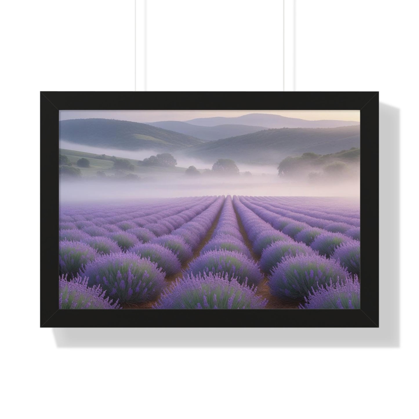 Lavender Fields Framed Poster
