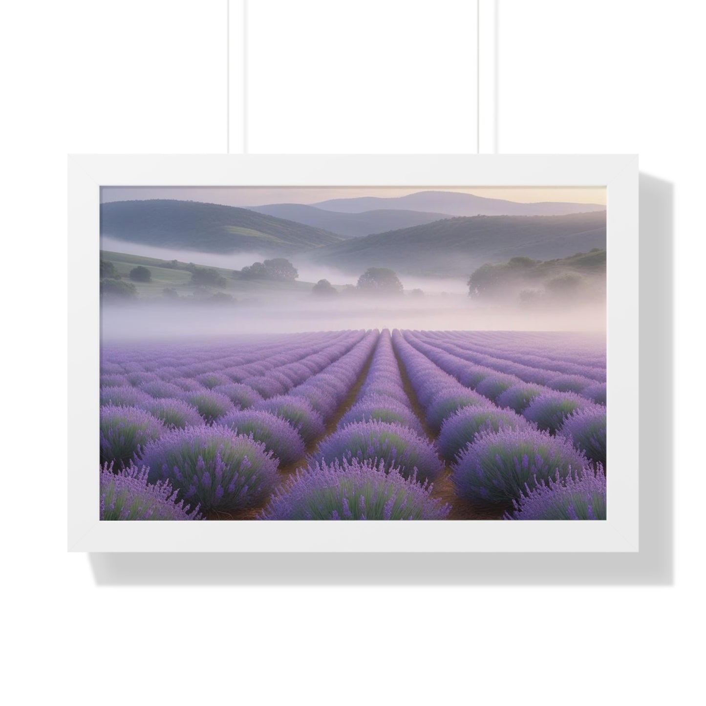 Lavender Fields Framed Poster