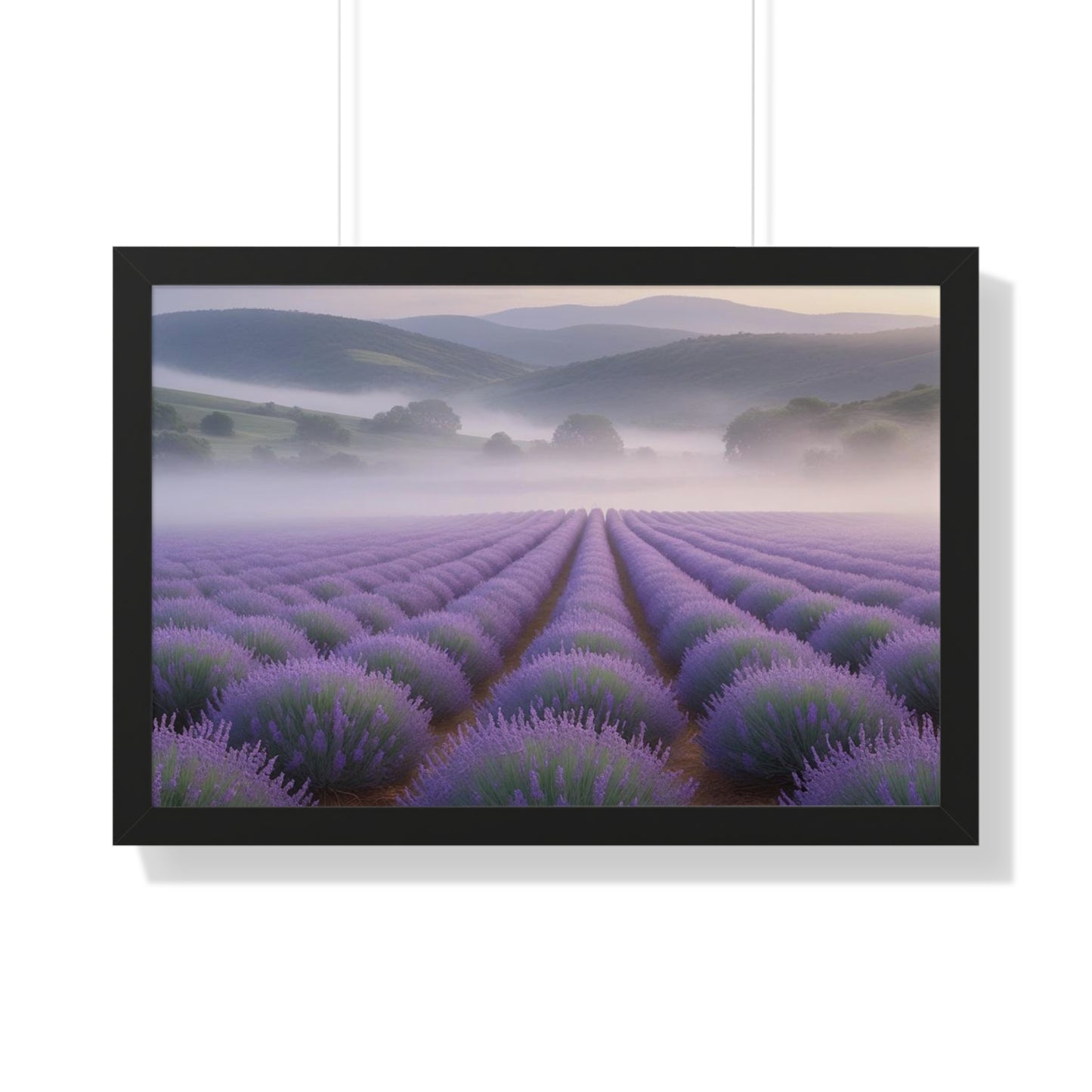 Lavender Fields Framed Poster