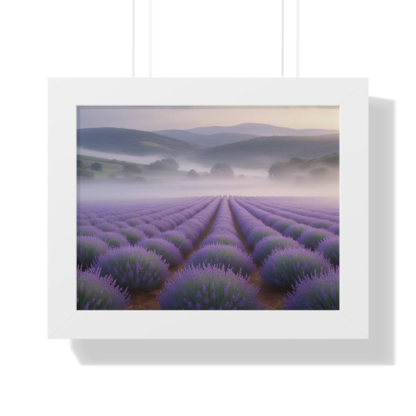 Lavender Fields Framed Poster